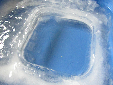 Ice play