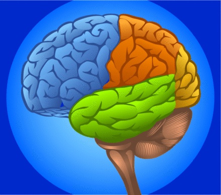 Brain Teasers Puzzles